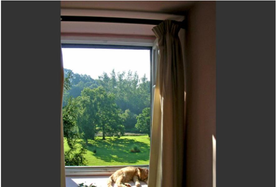 Chambres D'Hotes La Baudriere Livaie Phòng bức ảnh